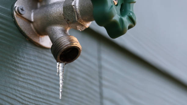 Best Water Leak Repair  in Shrewsbury, PA